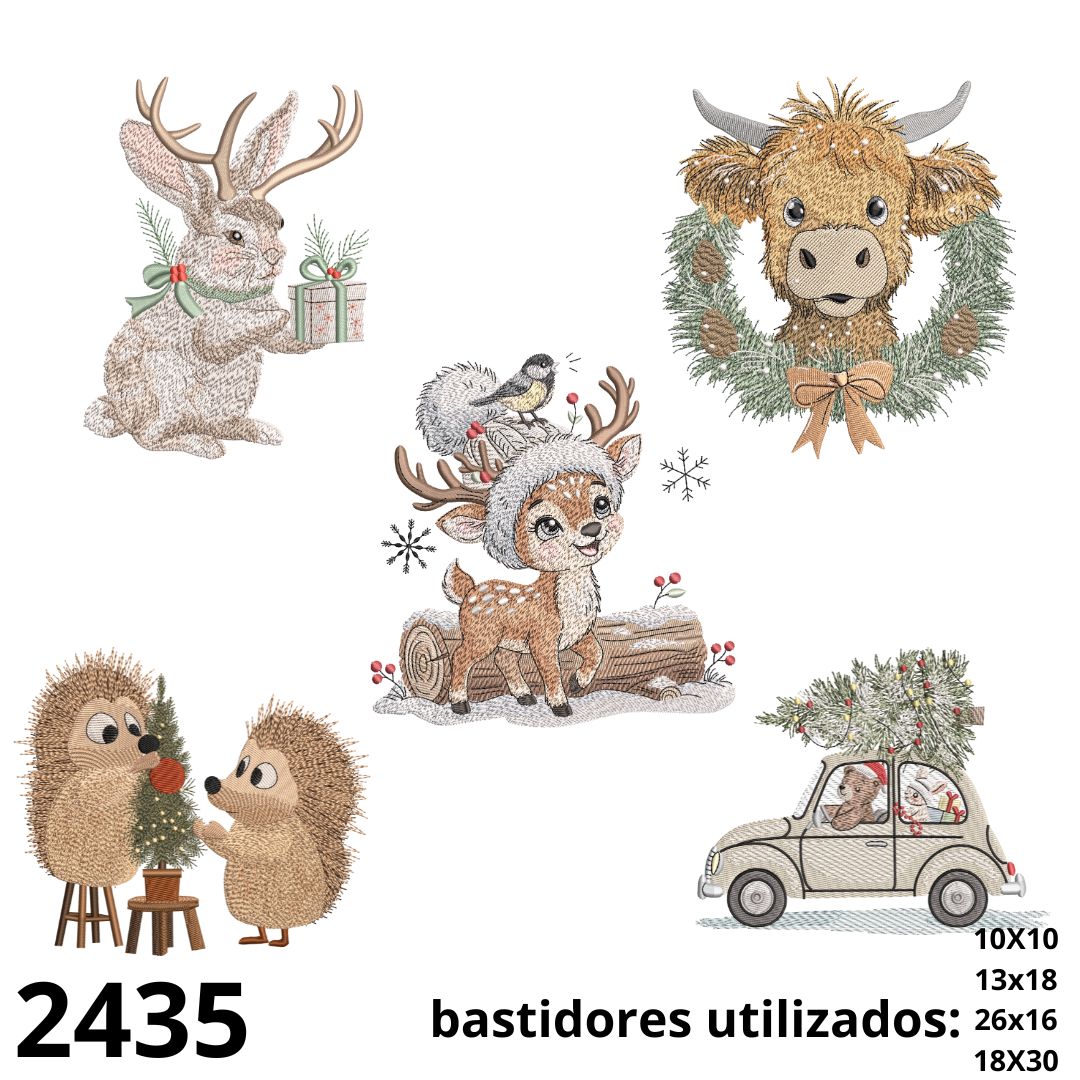 Matriz de bordado Pacotinho  Natalino 005